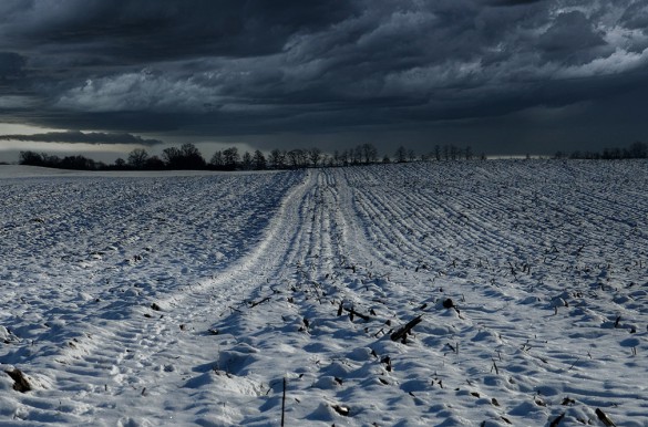 Początek jesiennego sezonu ubezpieczeń upraw 2021